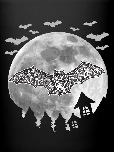chauve-souris
