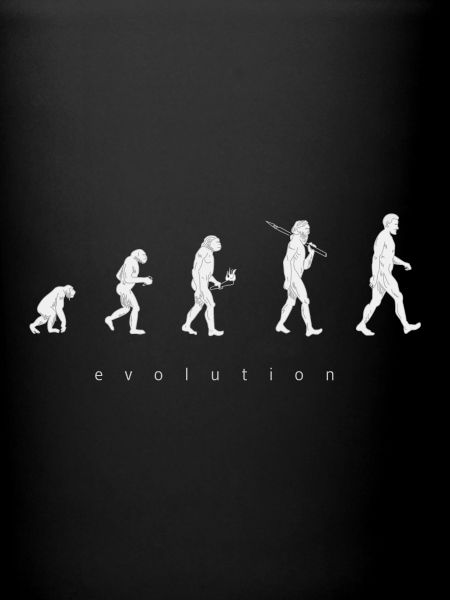 Human evolution