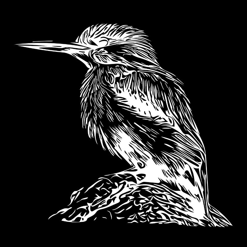 Martin-pêcheur doux sur la rivière