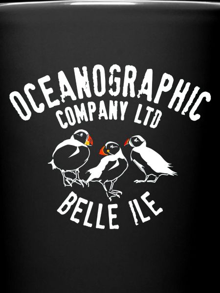 Oceanographic Belle Ile