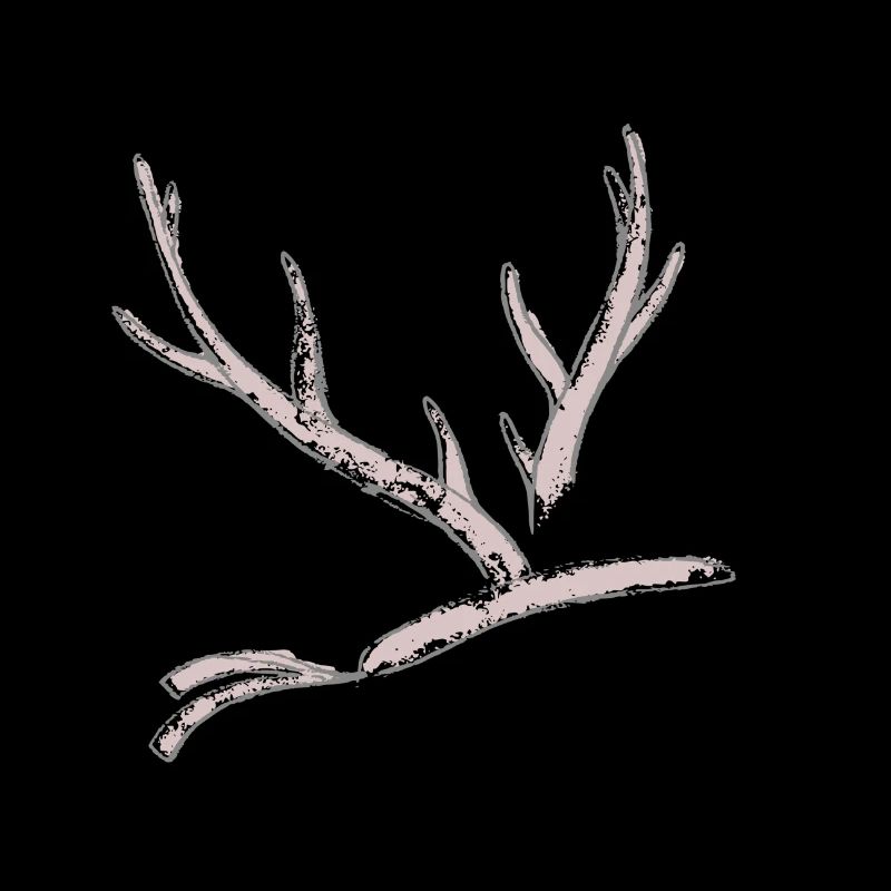 Hirsch