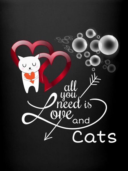Amis chat, dire chat