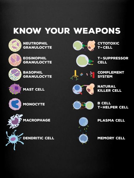 Science Expériences