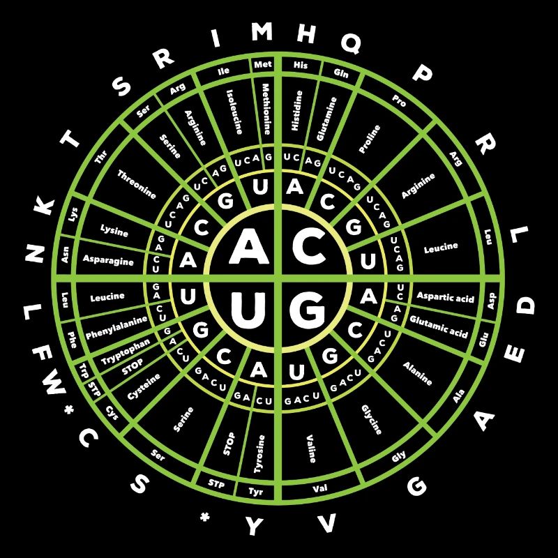 Code génétique Biologie