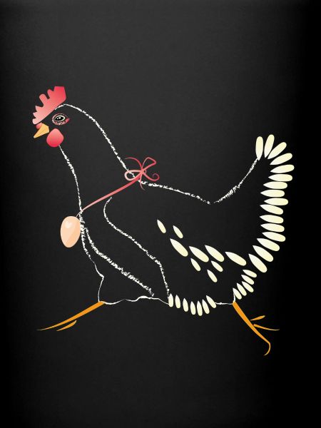 Poule blanche
