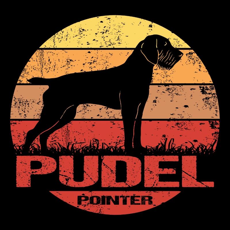 Poodle Pointer Dog Sun Vintage