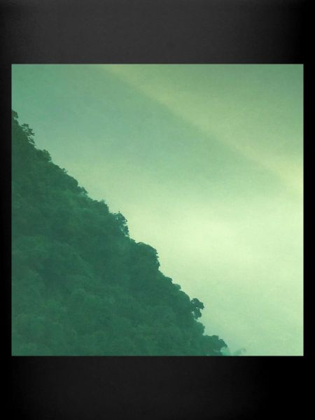 Mountain forest
