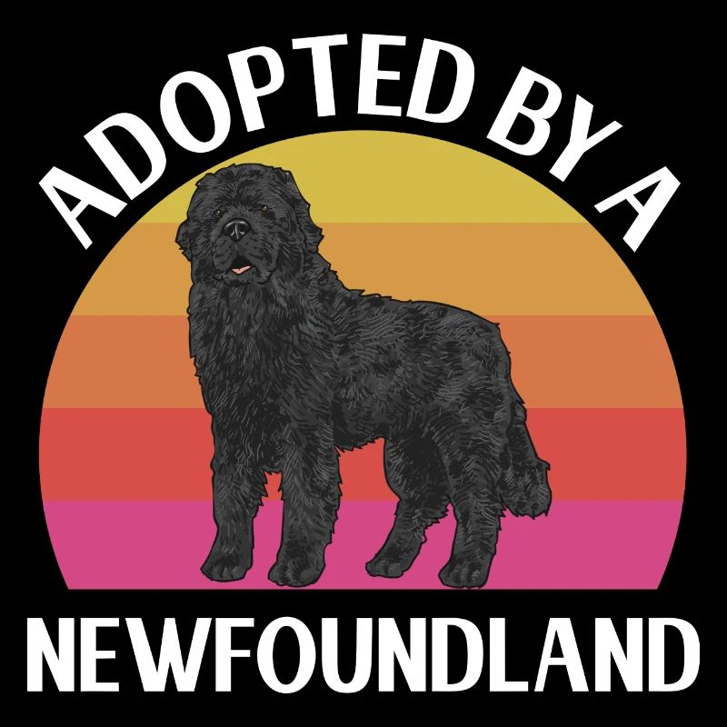 Terre-Neuve Chien de Terre-Neuve