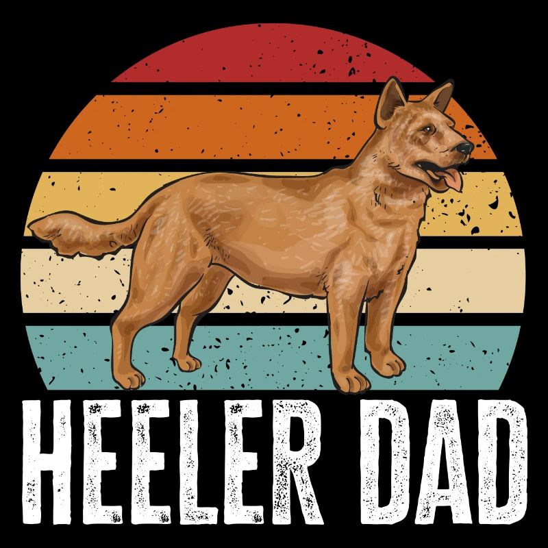 Bouvier australien Red Blue Heeler