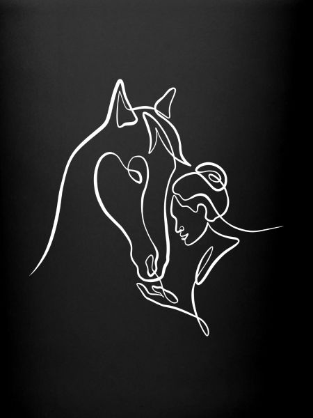 Passion cheval équitation