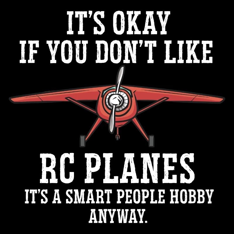 Remote Controlled Airplane Model Airplane