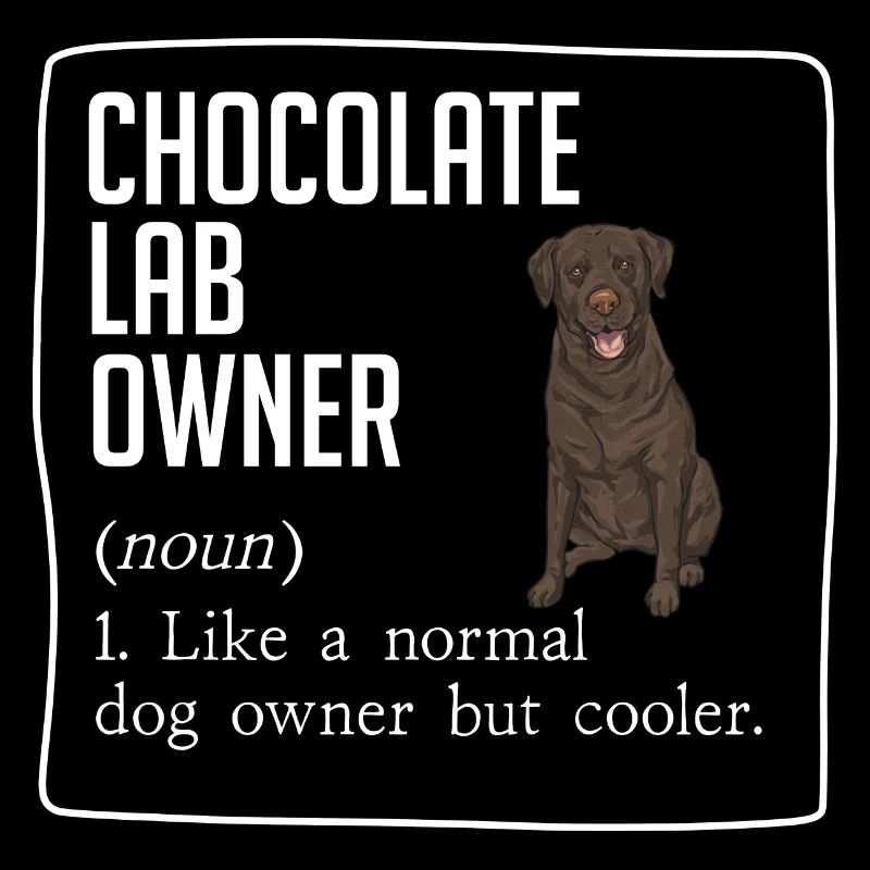 Chien Labrador Retriever chocolat
