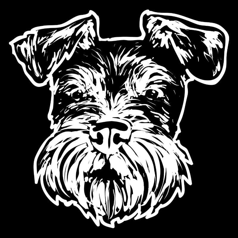 Zwergschnauzer Hund Schnauzer