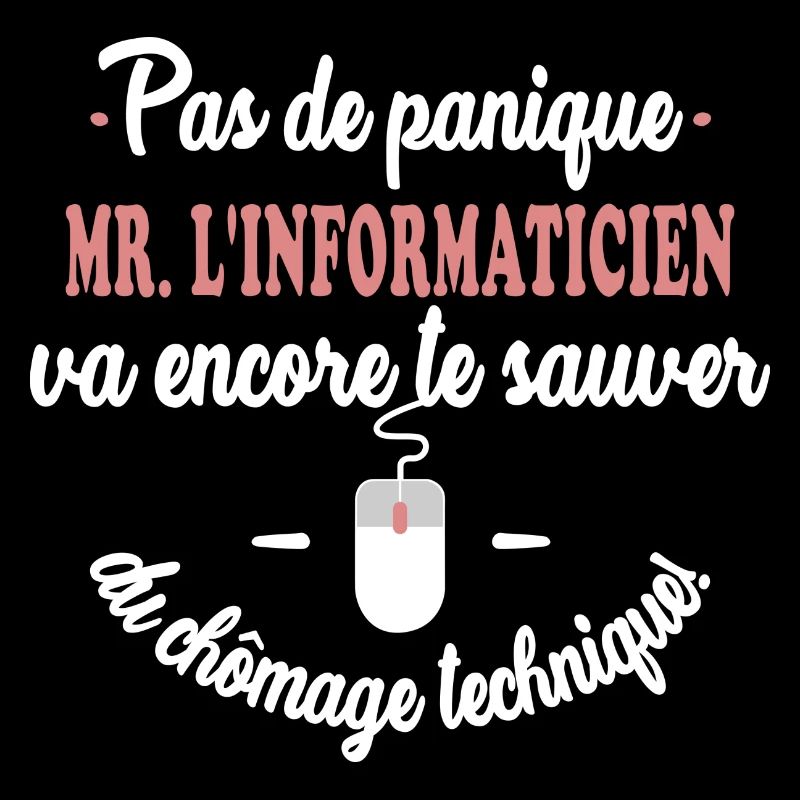 Mr. informaticien