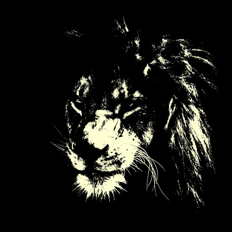 Löwe AFRIKA KATZE SAVANNE