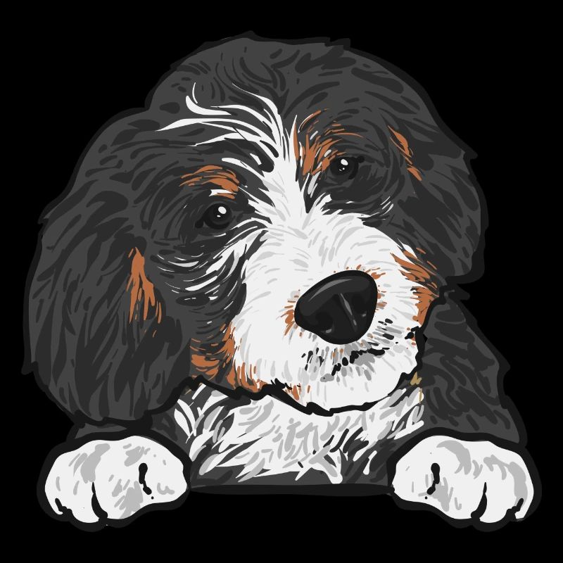 Cadeau pour chien Bernedoodle