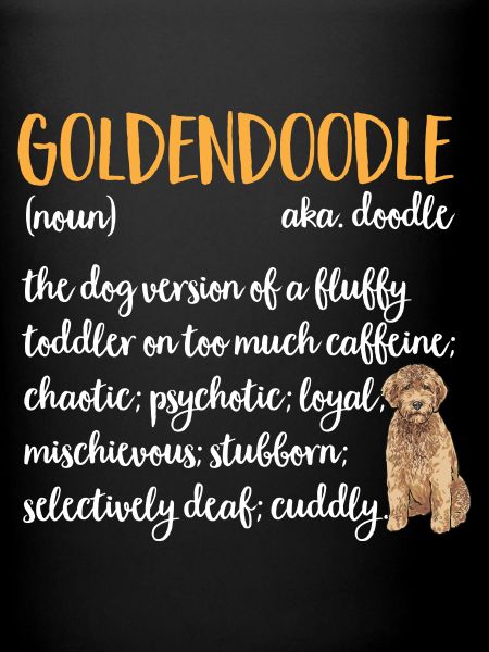 Goldendoodle Doodle Chien