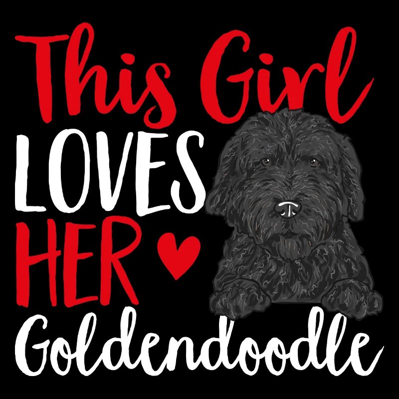 Chien Doodle Black Goldendoodle