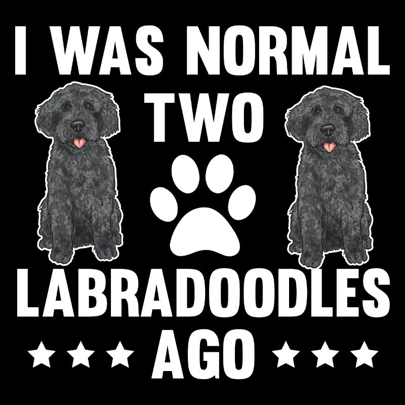 Labradoodle Chien