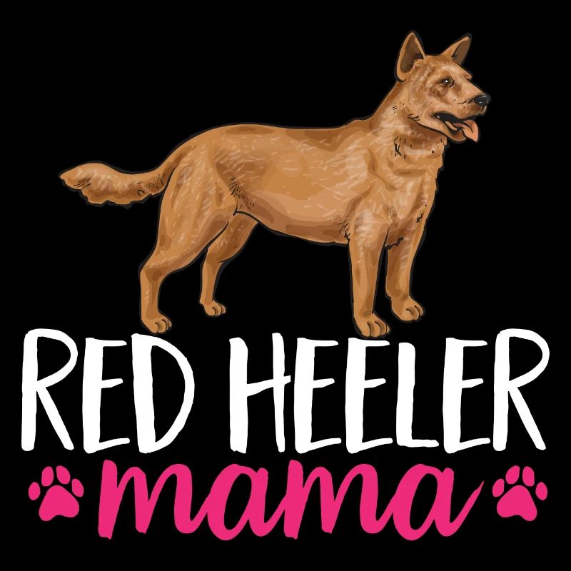 Australian Cattle Dog Red Blue Heeler