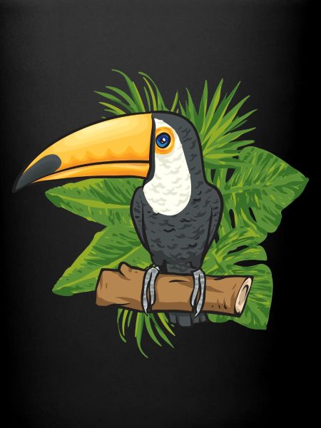 Toucan Bird Rainforest