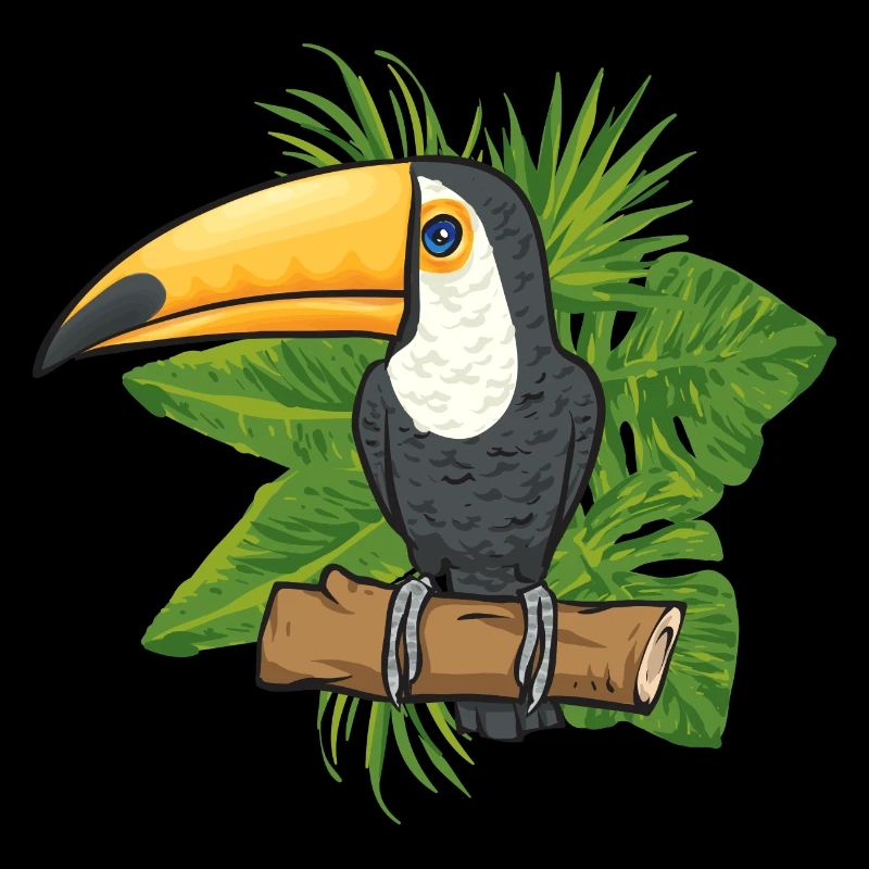 Toucan Bird Rainforest