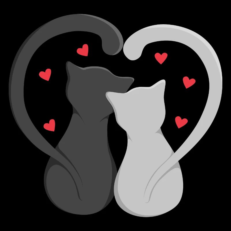 Two cats make heart