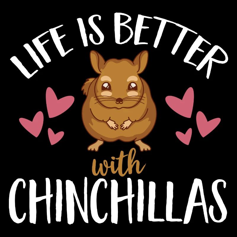 Chinchilla