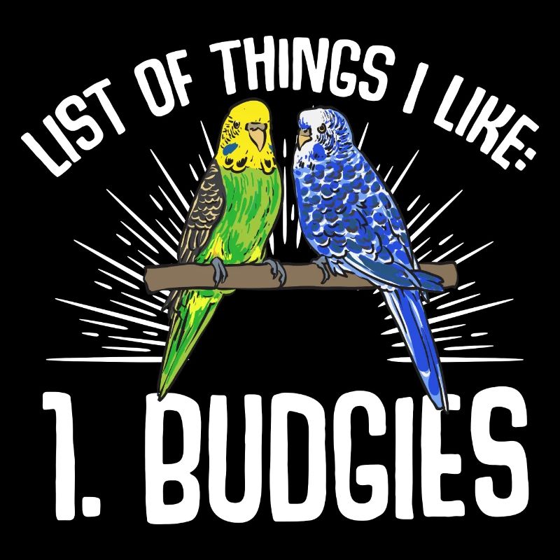 Budgerigar Perruche Oiseau Cadeau pour animaux de compagnie