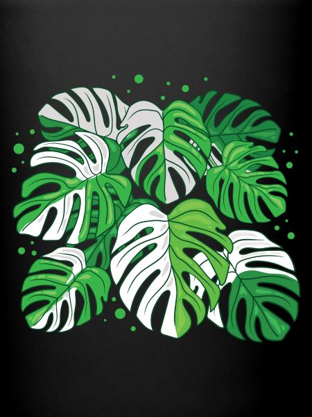 Monstera panaché