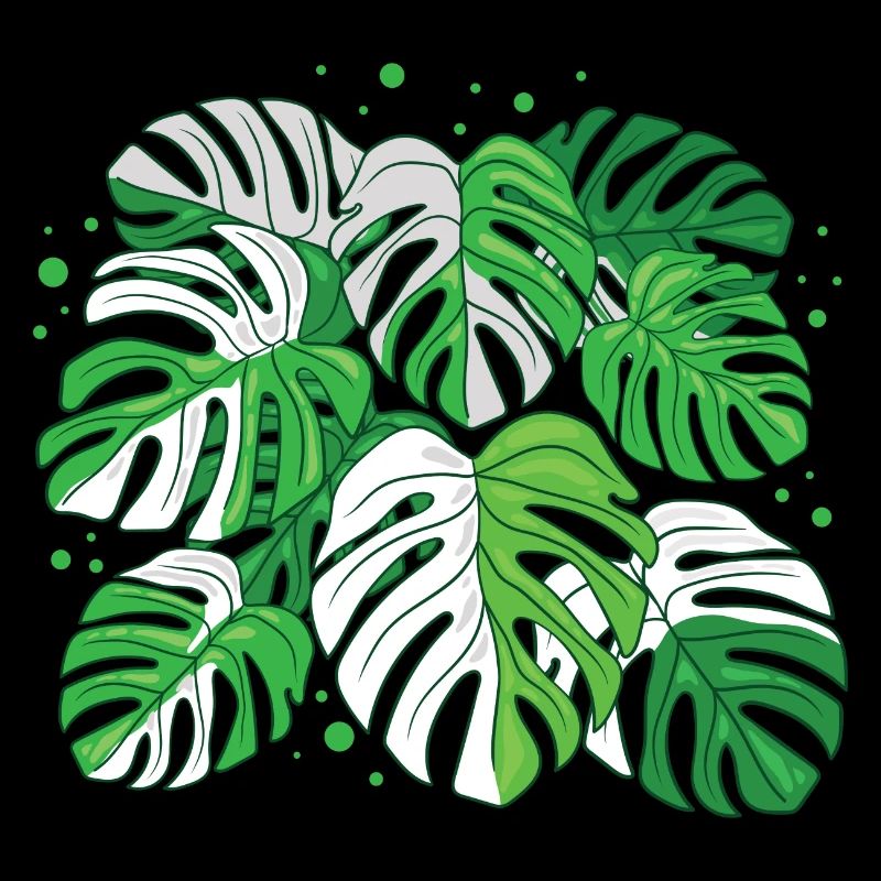 Variegated Monstera