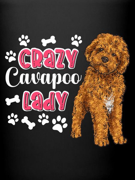 Cavapoo Cavoodle Capoodle Hund