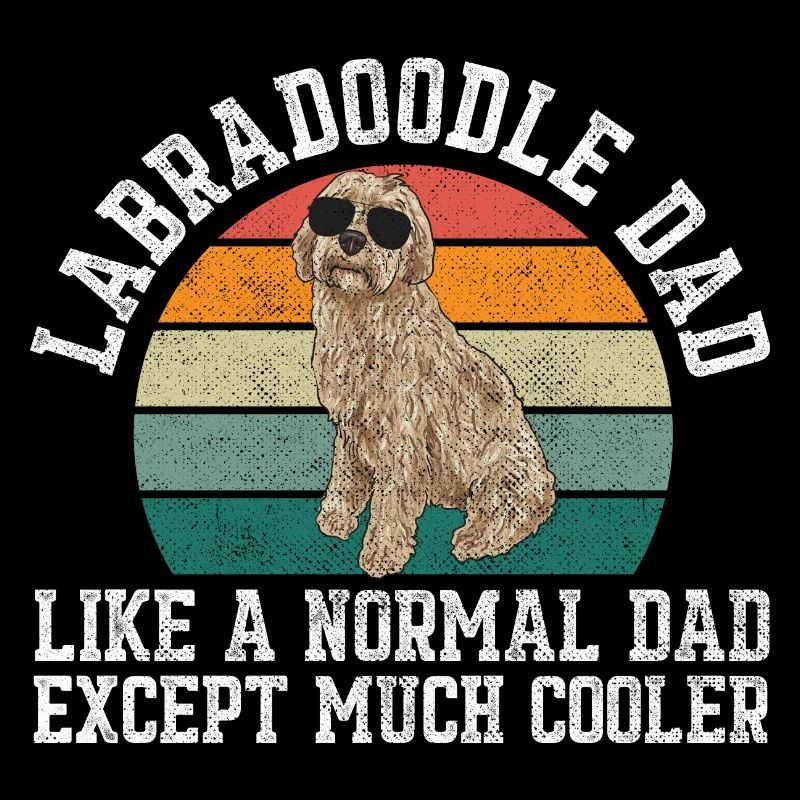 Labradoodle Chien