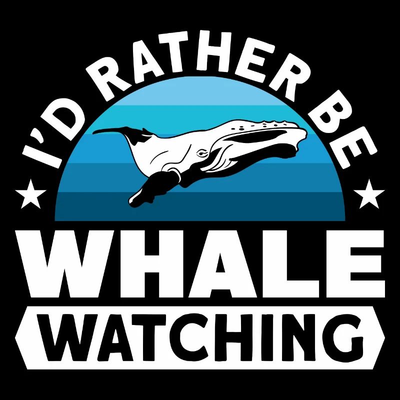 Observation des baleines Observation des baleines Orques Bleu Baleine