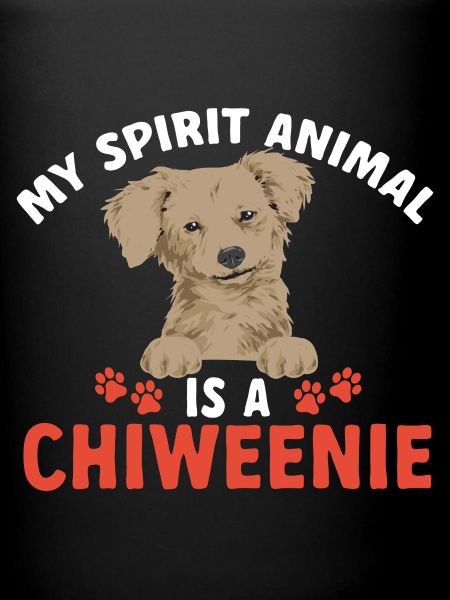 Chiweenie Chien