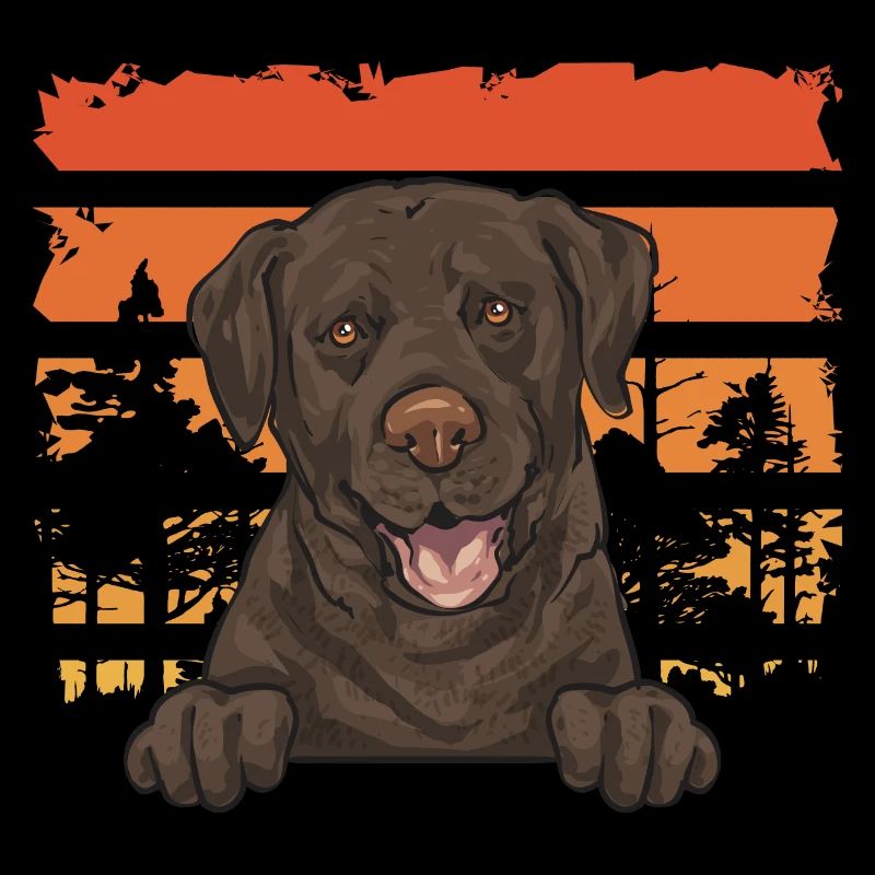 Chien Labrador Retriever chocolat