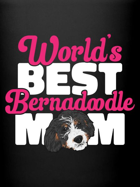 Chien Bernedoodle