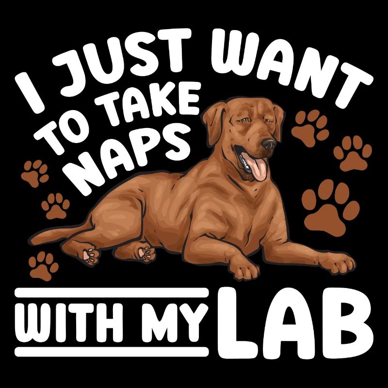 Fuchsroter Labrador Retriever Fox Red Labrador