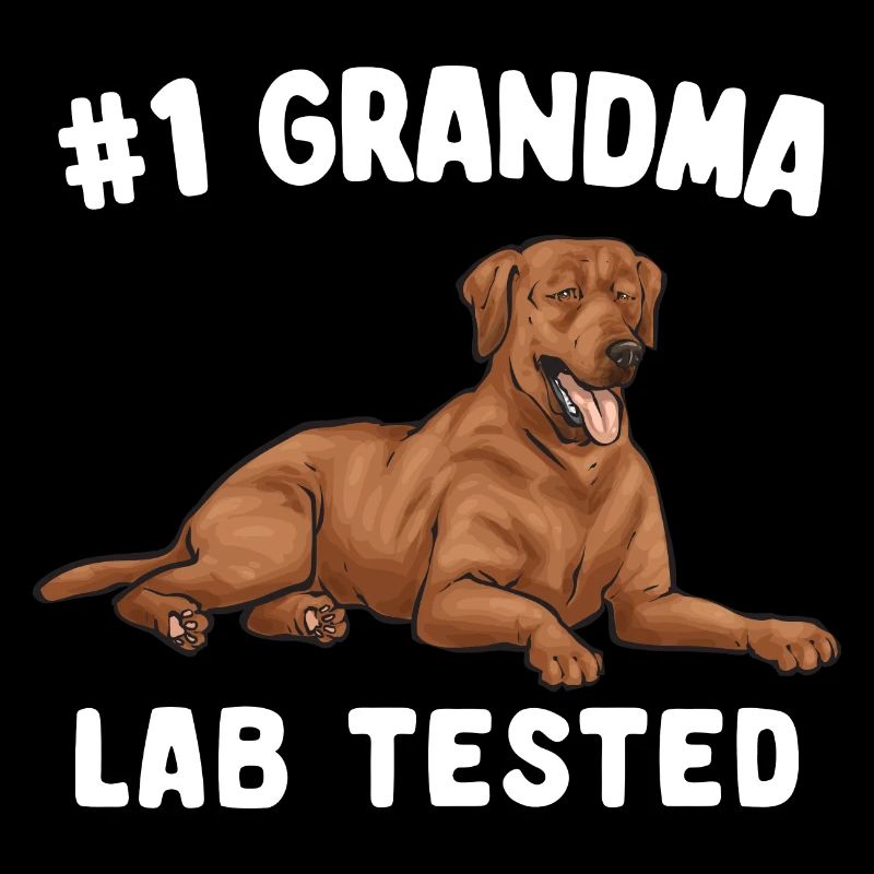 Fuchsroter Labrador Retriever Fox Red Labrador