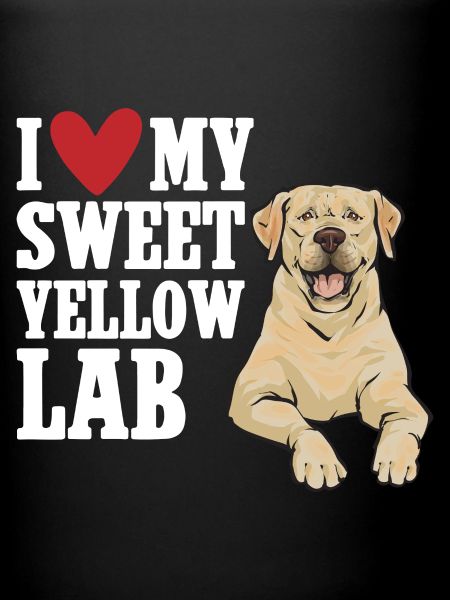 Labrador Retriever jaune
