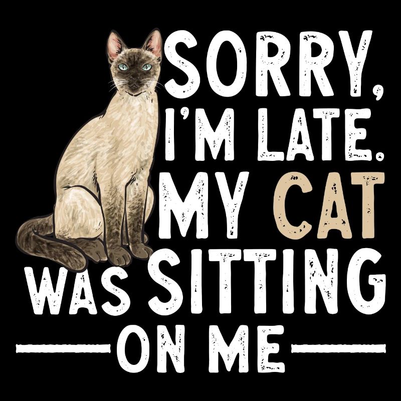 Siamkatze Katze Siamese