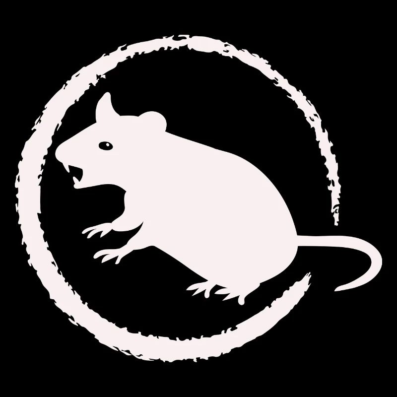 gefährliche Ratte - Nagetier