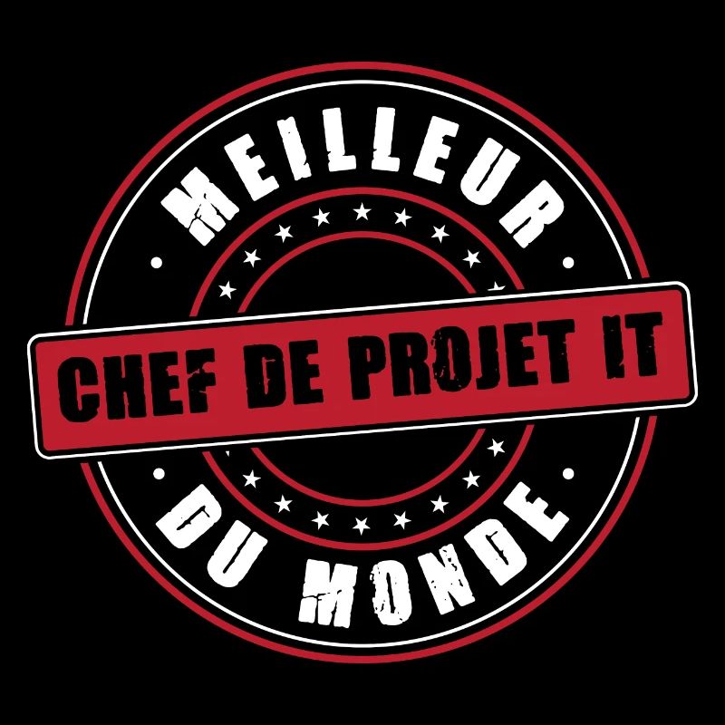 Meilleur Chef de projet IT profession informatique