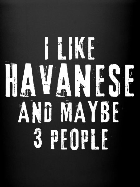 Havanese