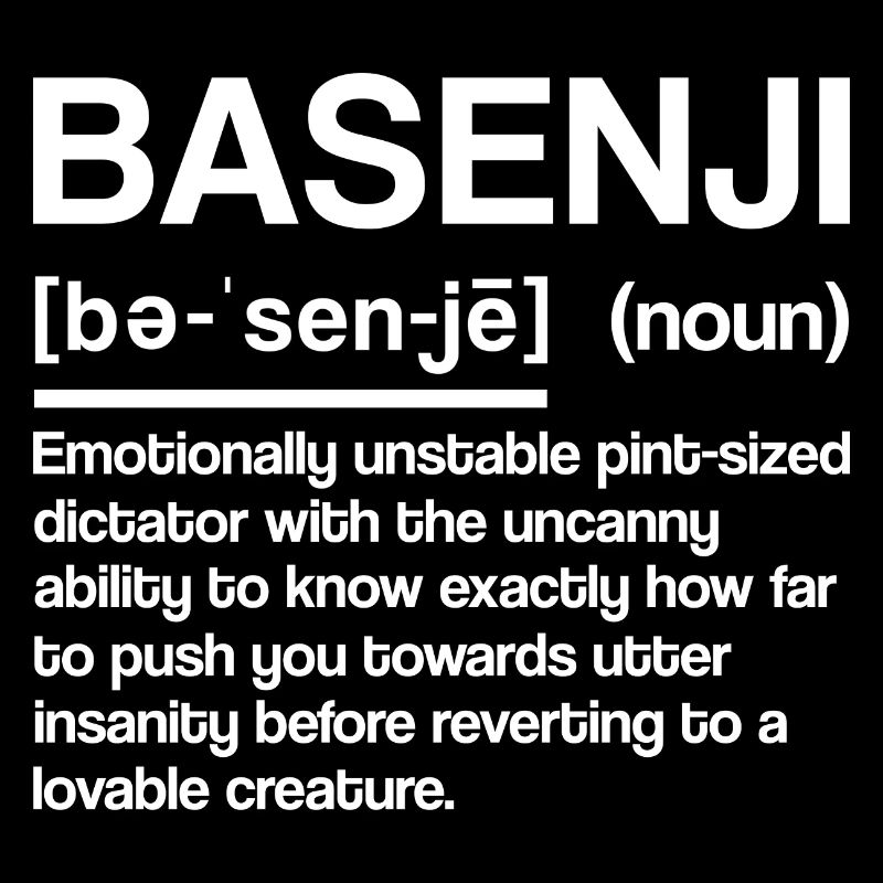 Basenji Dog Cadeau