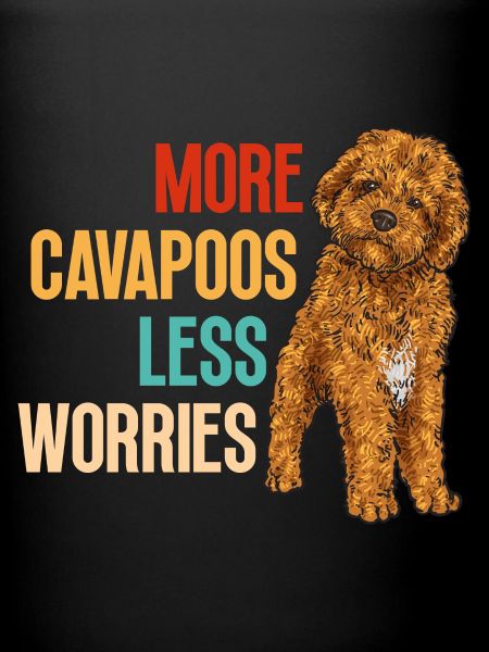 Cavapoo Cavoodle Capoodle Chien