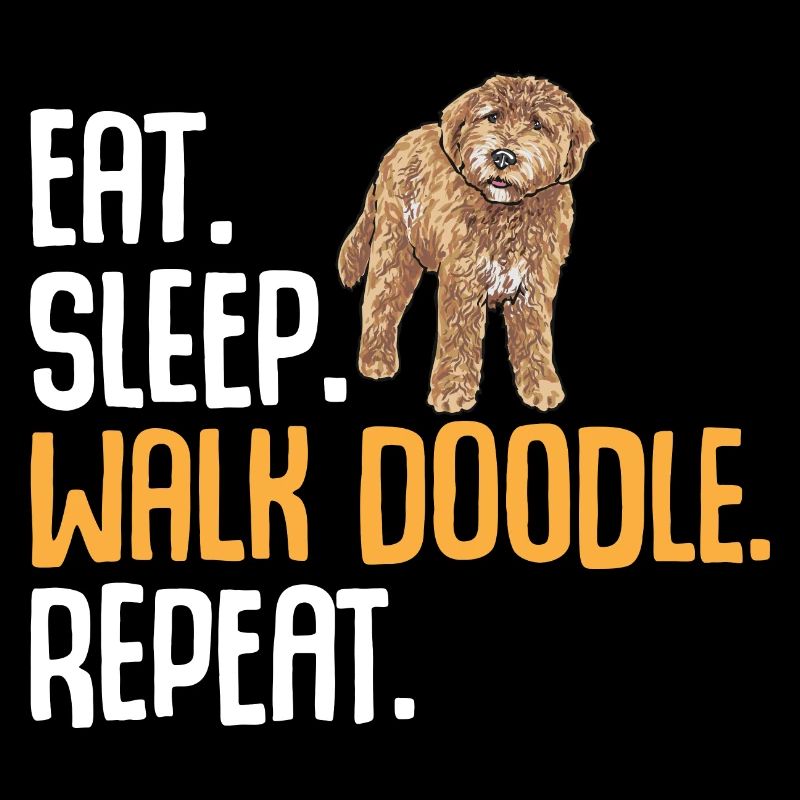 Goldendoodle Doodle Chien