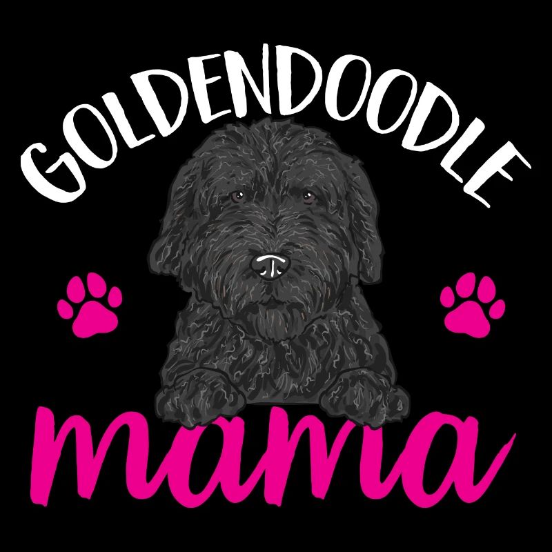 Chien Doodle Black Goldendoodle