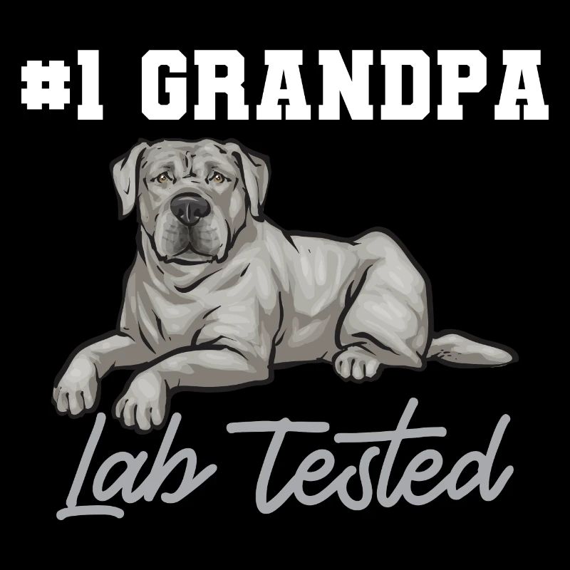 Silver Labrador Retriever Silver Lab