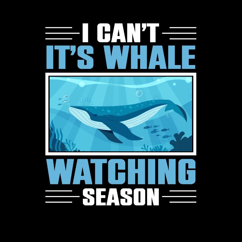 Seaworld Cetacean Orca Walbeobachtung